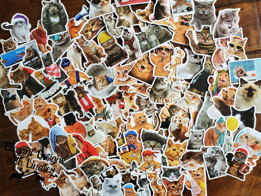 2pk Cat Stickers (random)