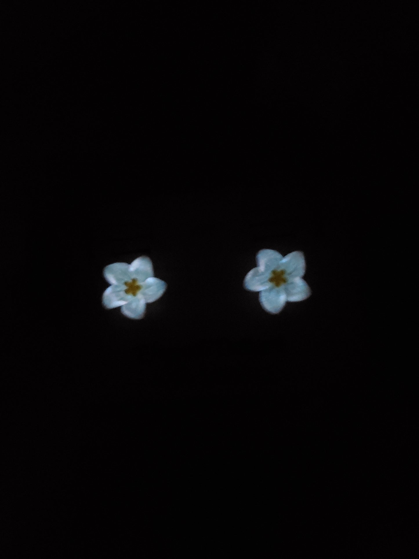 Children's White Flower Stud Earrings (GLOW-IN-THE-DARK)